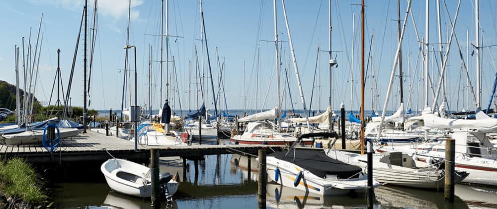 Marina Image