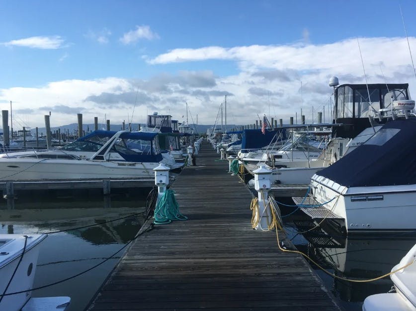 Marina Image