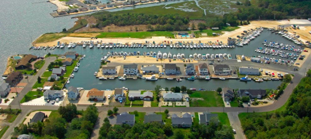 Marina Image