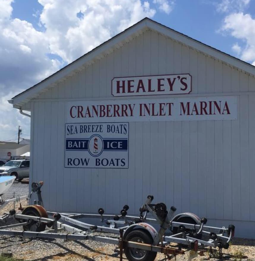 Marina Image