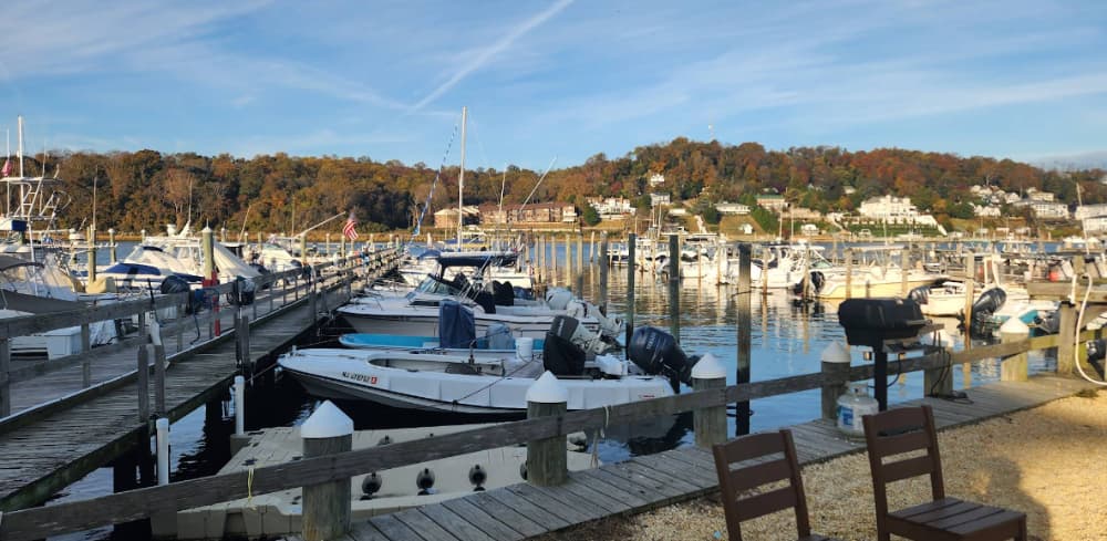 Marina Image