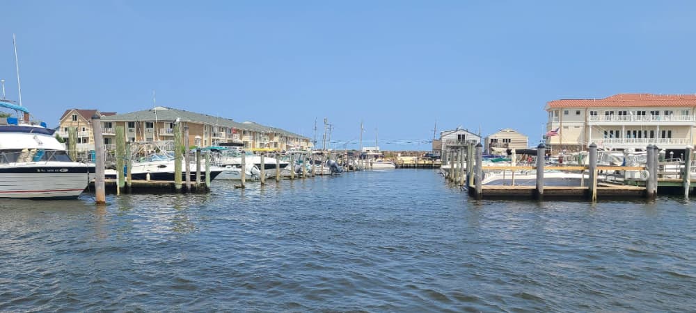 Marina Image