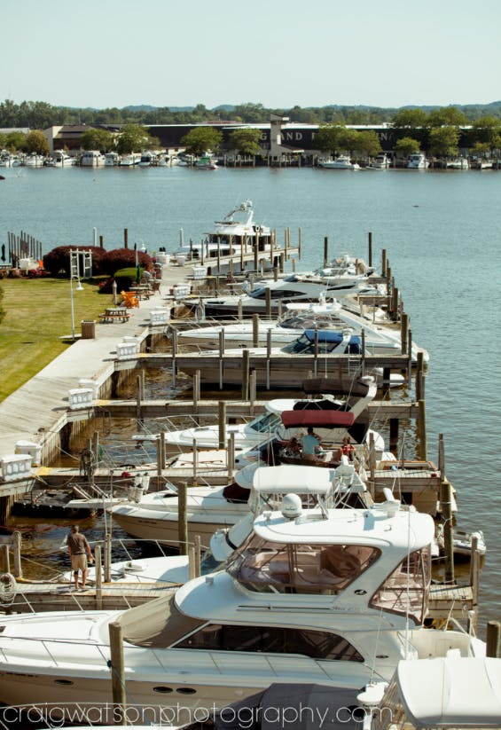 Marina Image