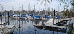 Marina Image