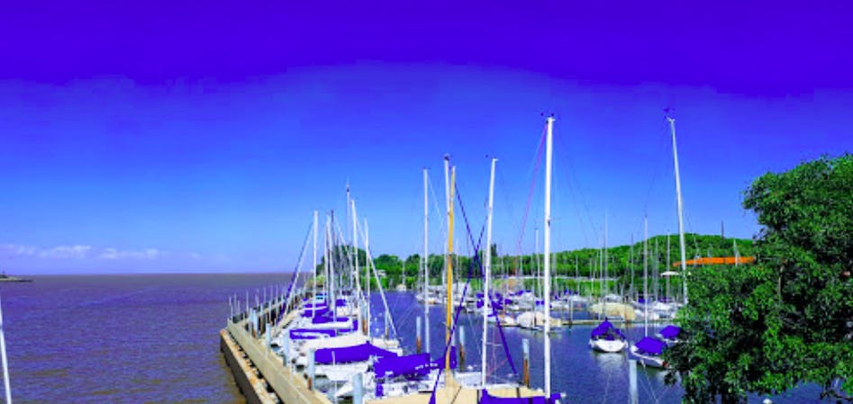 Marina Image