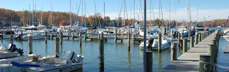 Marina Image