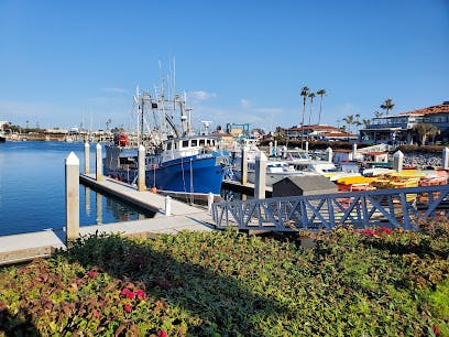 Marina Image