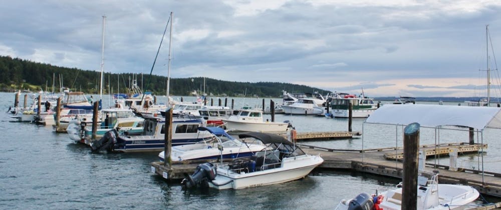 Marina Image