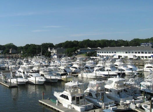 Marina Image