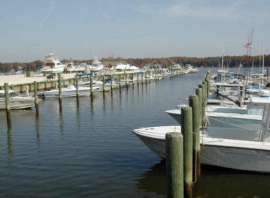 Marina Image