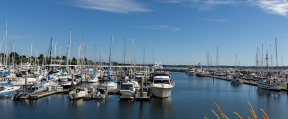 Marina Image