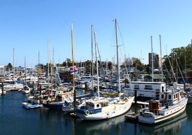 Marina Image