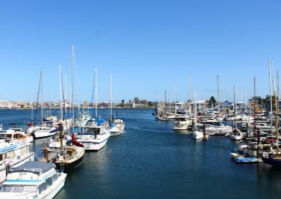 Marina Image