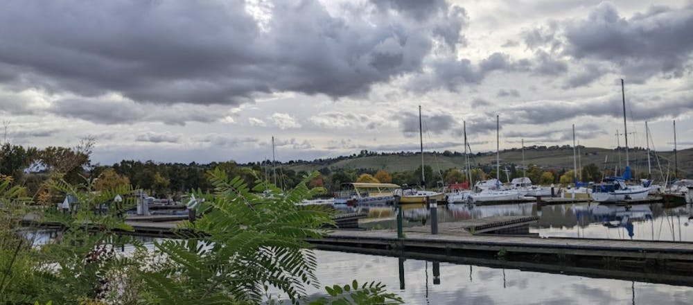 Marina Image