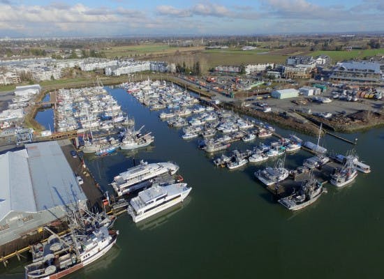 Marina Image