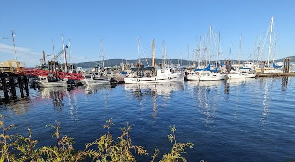 Marina Image