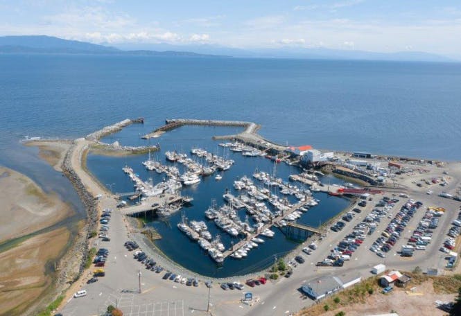 Marina Image