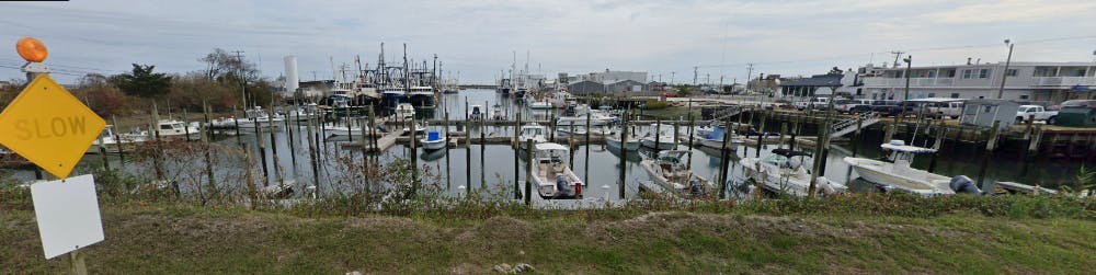 Marina Image