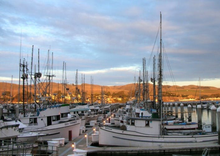 Marina Image