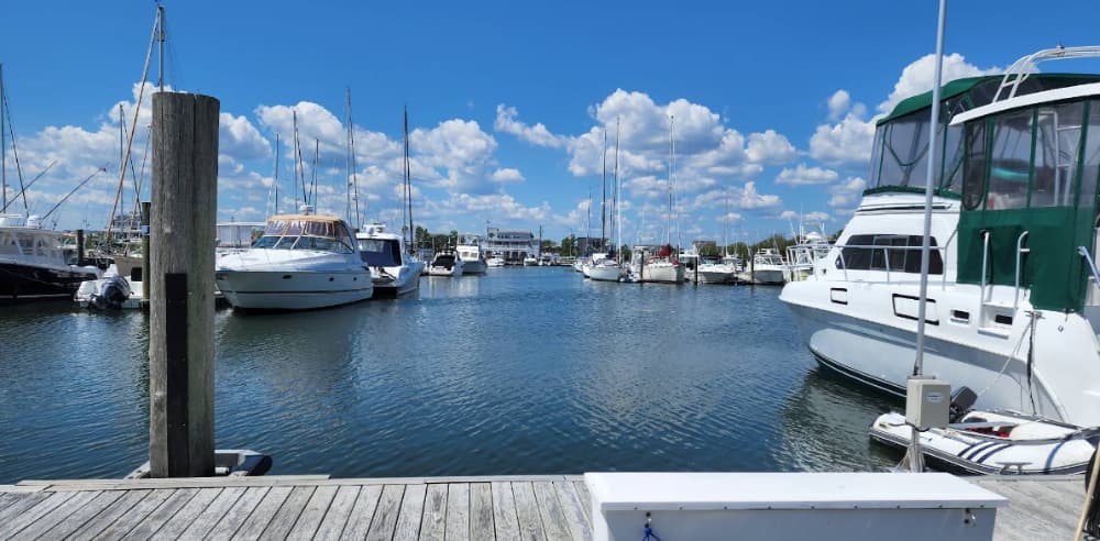 Marina Image