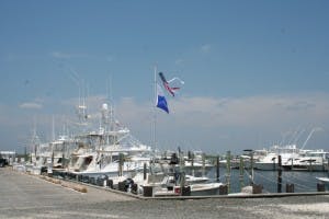 Marina Image