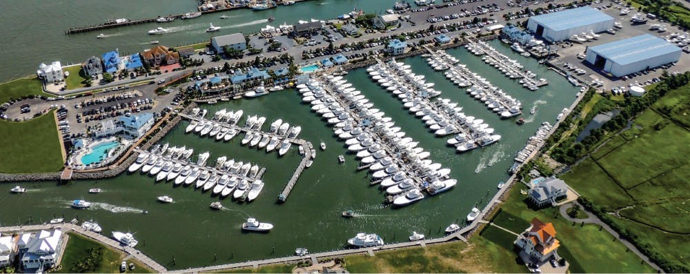 Marina Image