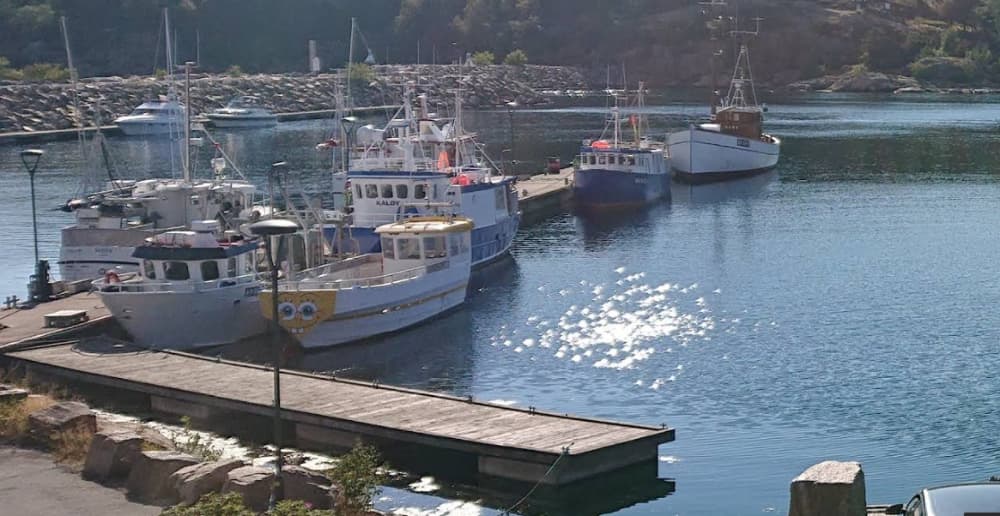 Marina Image