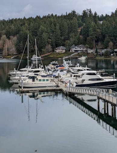 Marina Image