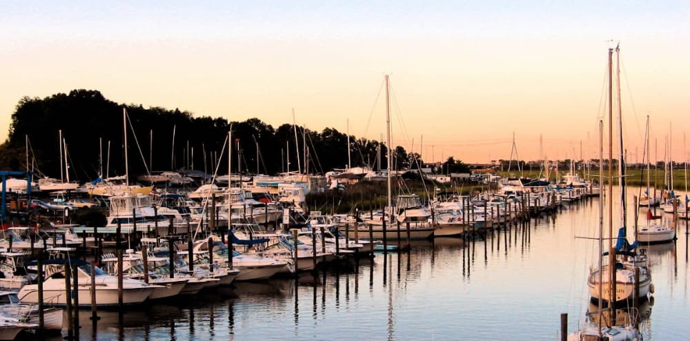 Marina Image
