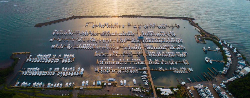 Marina Image