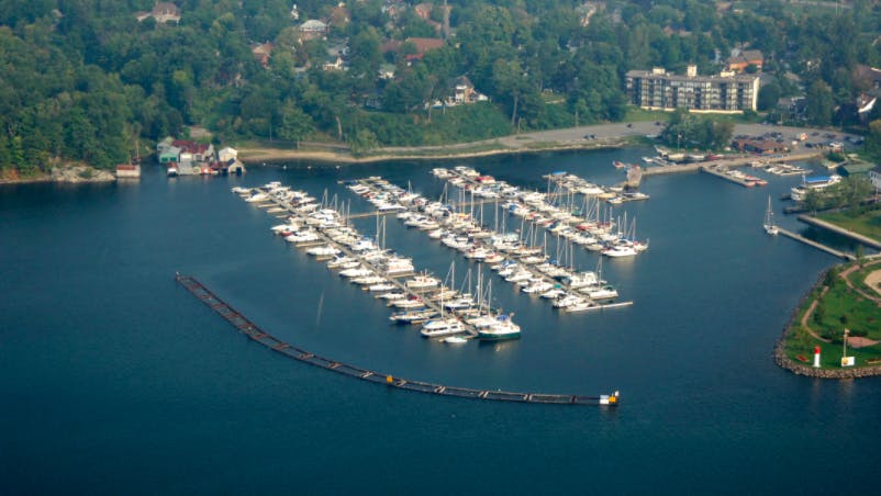 Marina Image