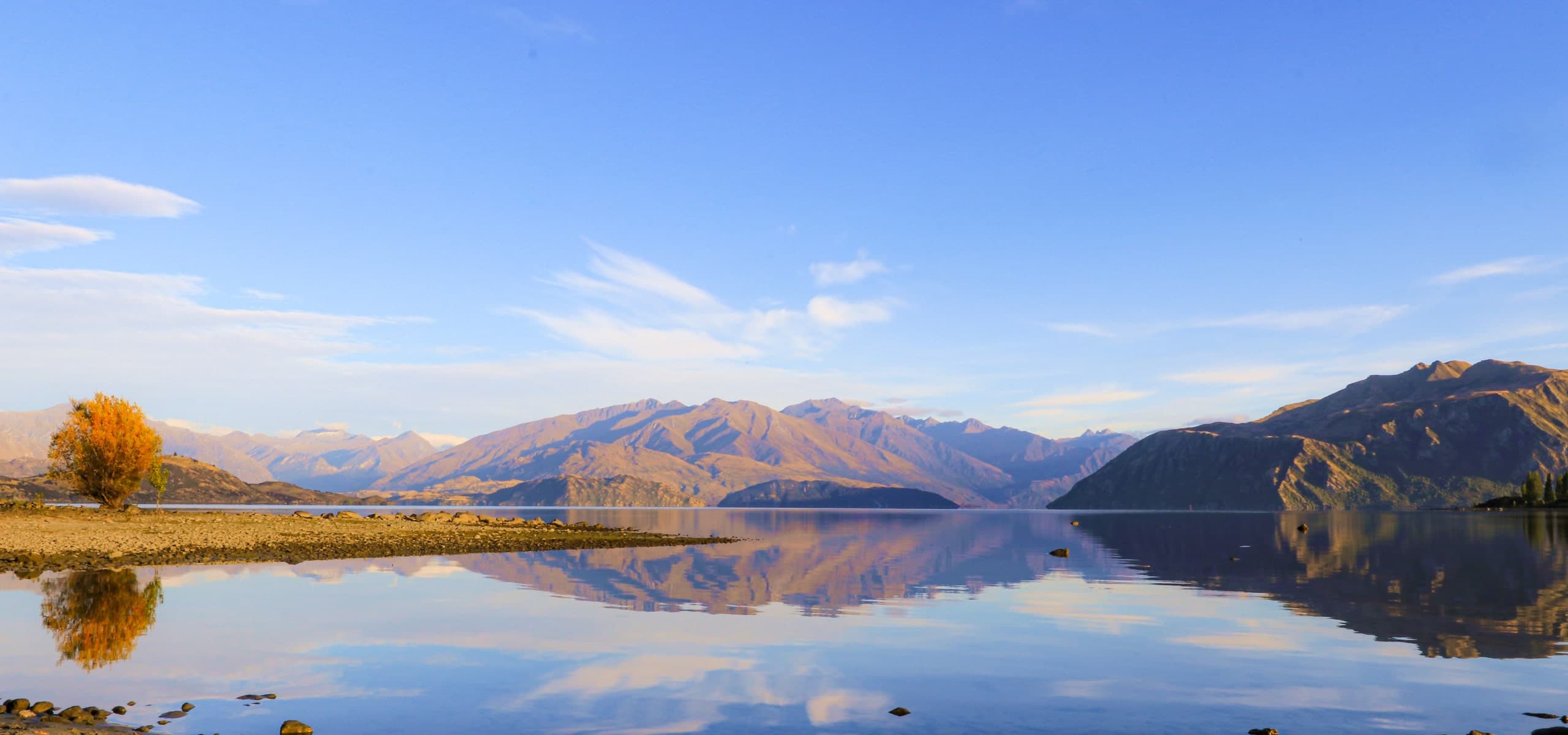 Cámaras Web de New Zealand.