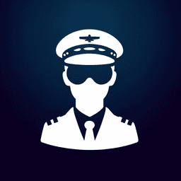 Pilot Definition and Examples: Understanding the Role and Responsibilities