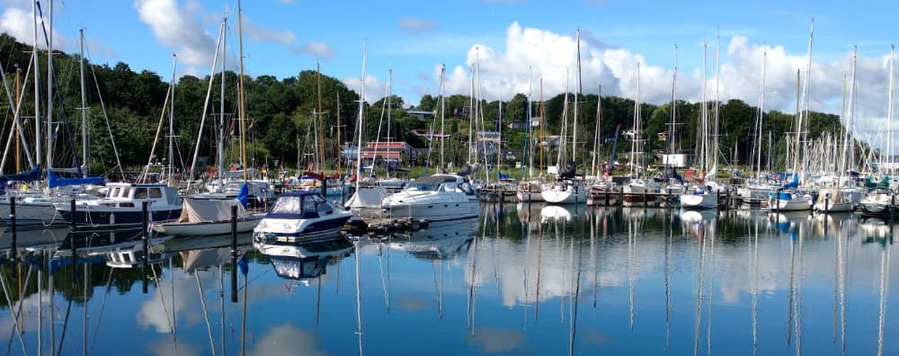 Marina Image