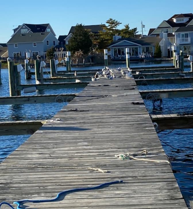 Marina Image