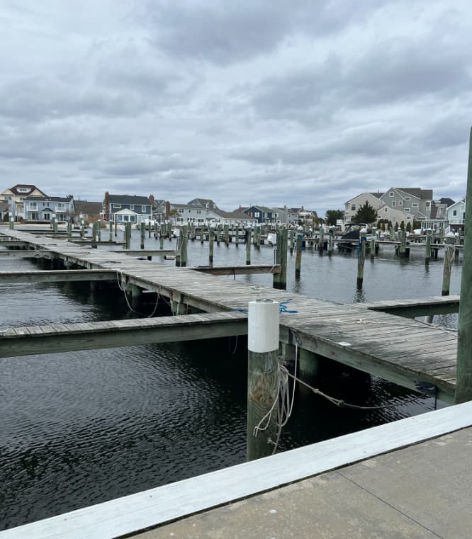Marina Image