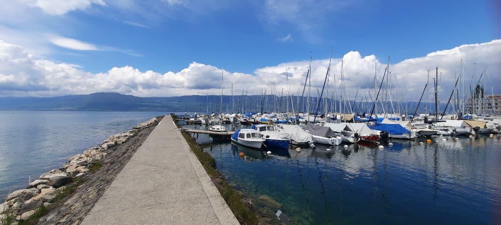 Marina Image