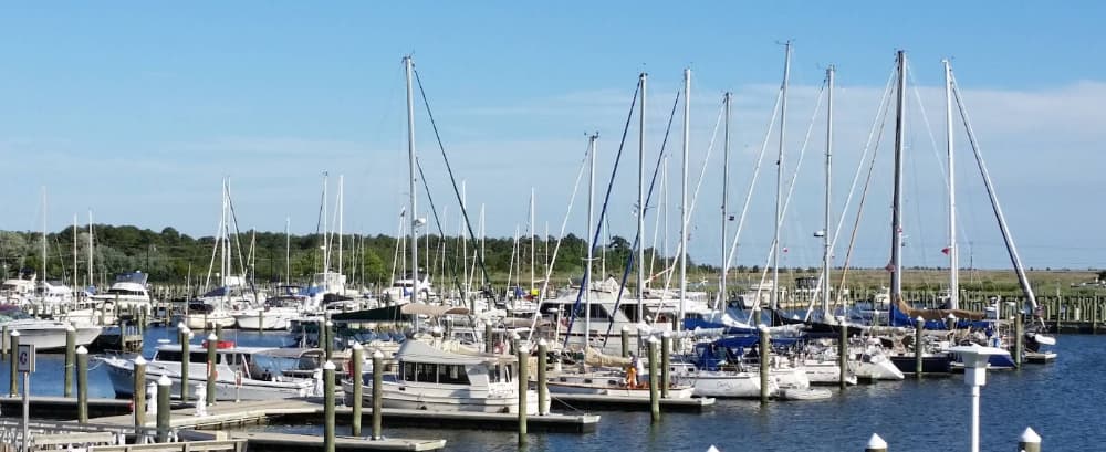 Marina Image