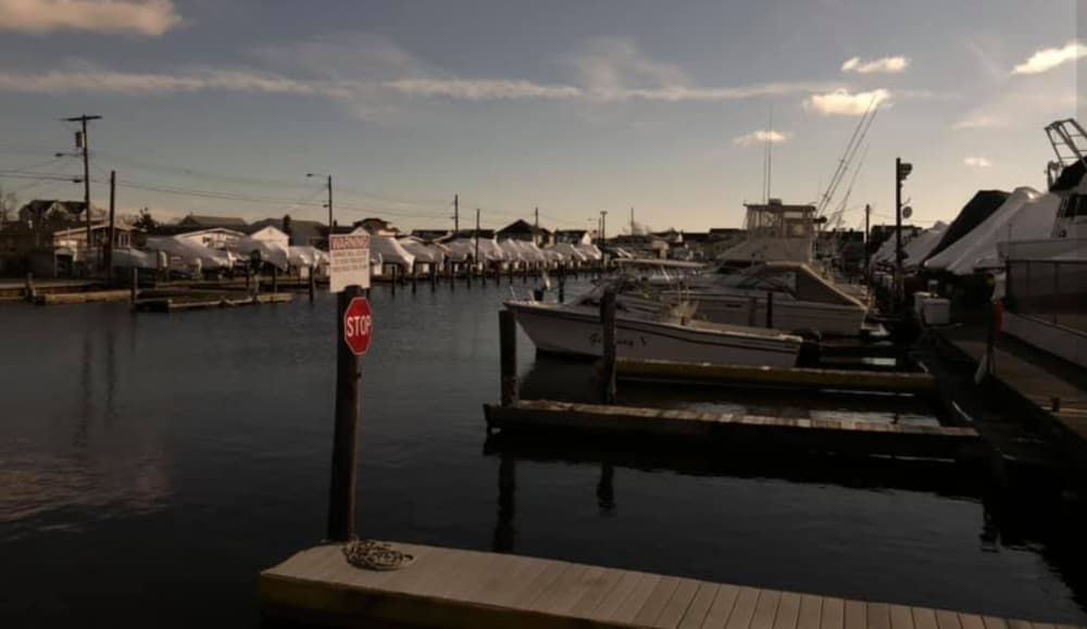 Marina Image