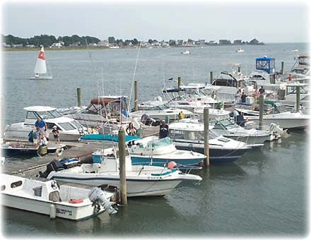 Marina Image