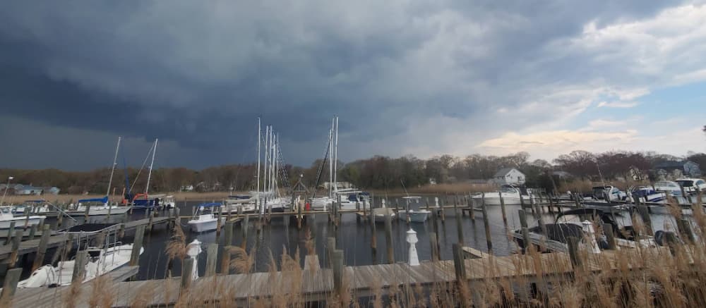 Marina Image