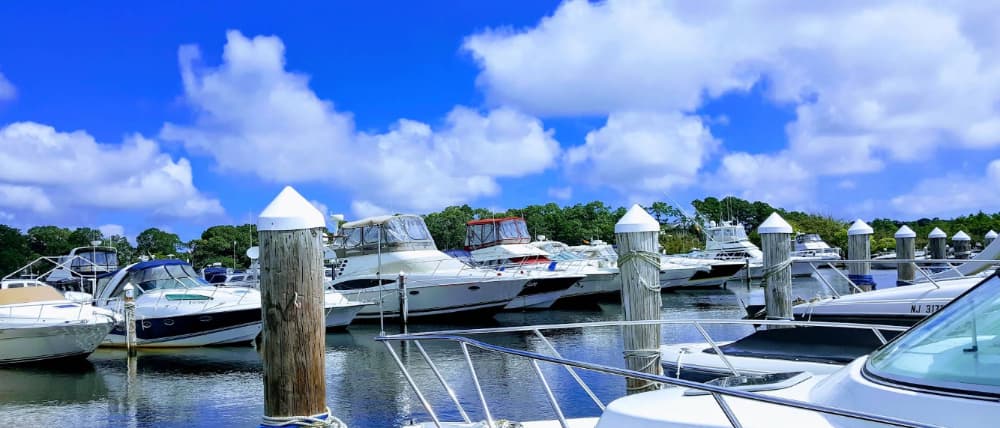 Marina Image
