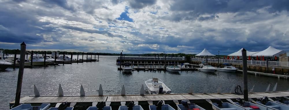 Marina Image