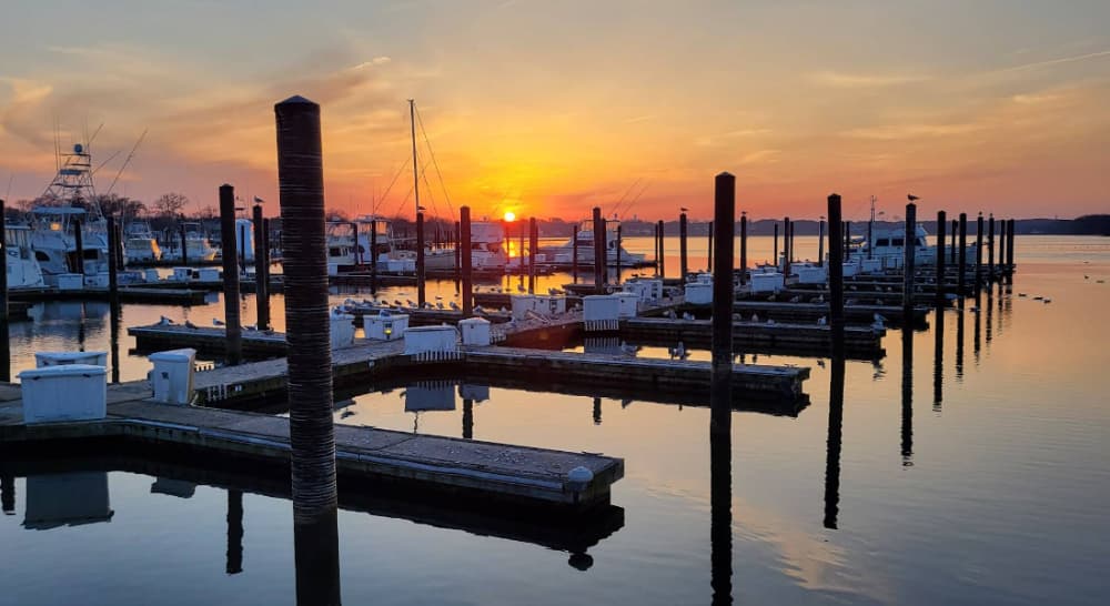 Marina Image